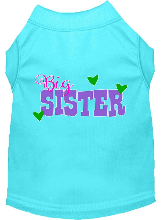 Big Sister Screen Print Dog Shirt Aqua XS